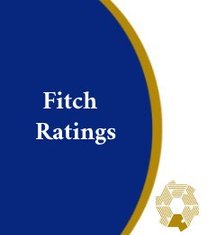 IBK Rating Report – Year 2013